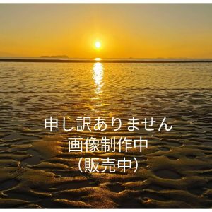 レジェンドウォーカー 4043-49 最軽量ナイロンキャリーケース 旅行日数目安：1?2泊 27L TSAロック搭載 機内持ち込み可 SSサ